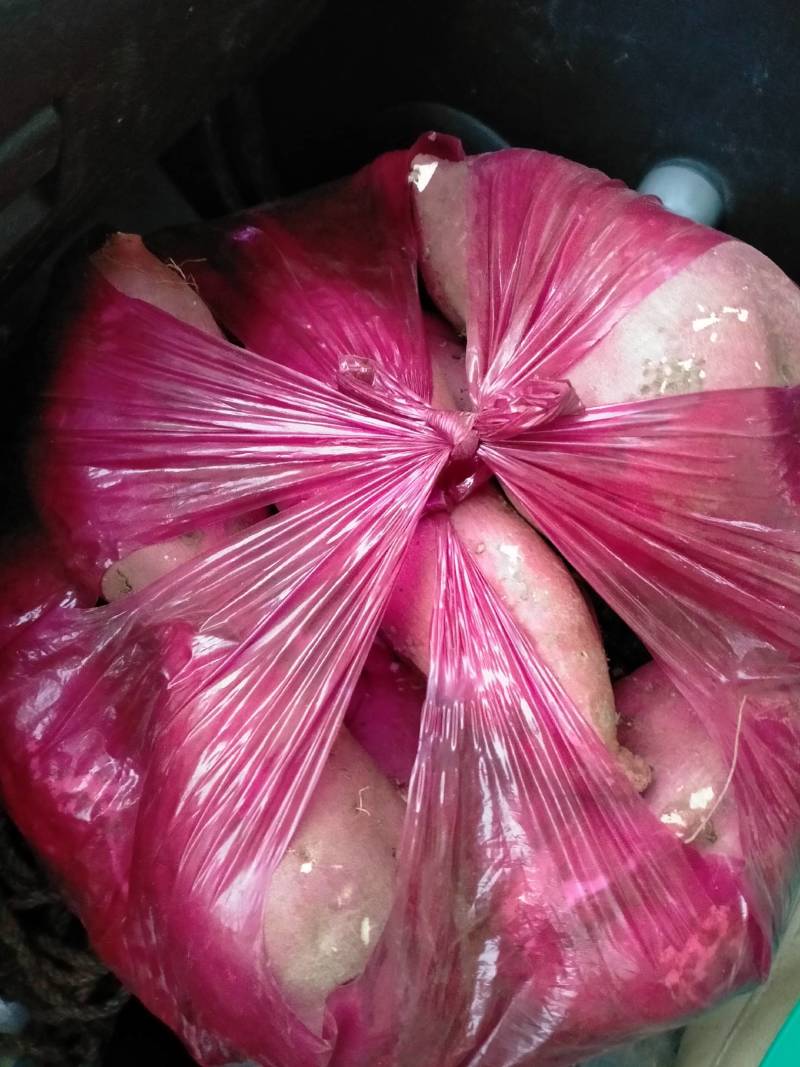 商十九红薯口感软面可口