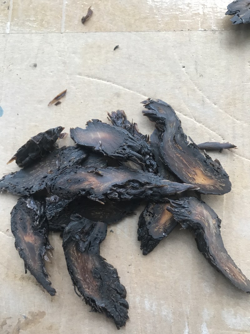 【特惠】内蒙阿拉善肉苁蓉切片量大从优欢迎下单