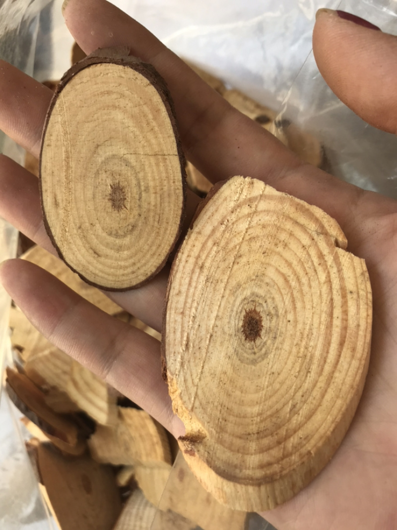 松节油松节松枝保庆药业批发正品油松节