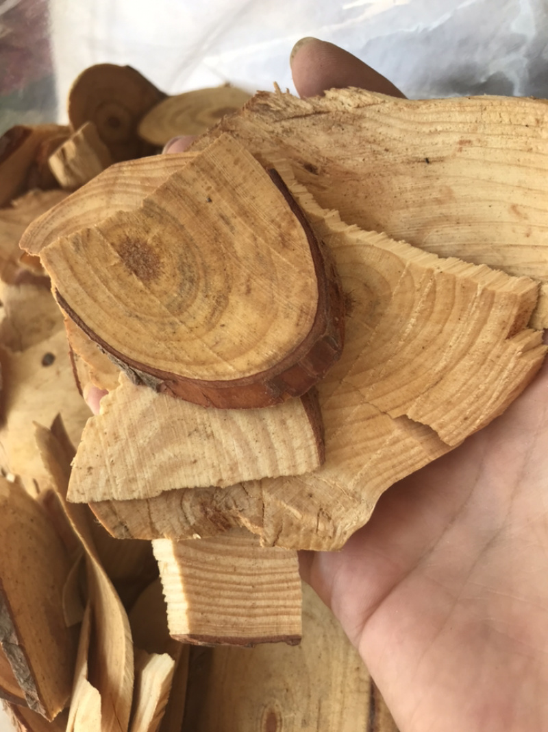 松节油松节松枝保庆药业批发正品油松节