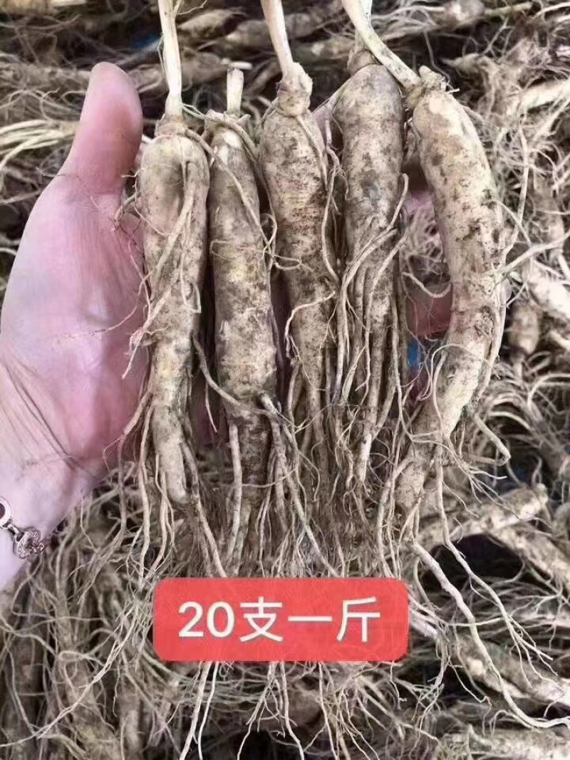 新鲜人参批发价格真空包装顺丰包邮新鲜人参