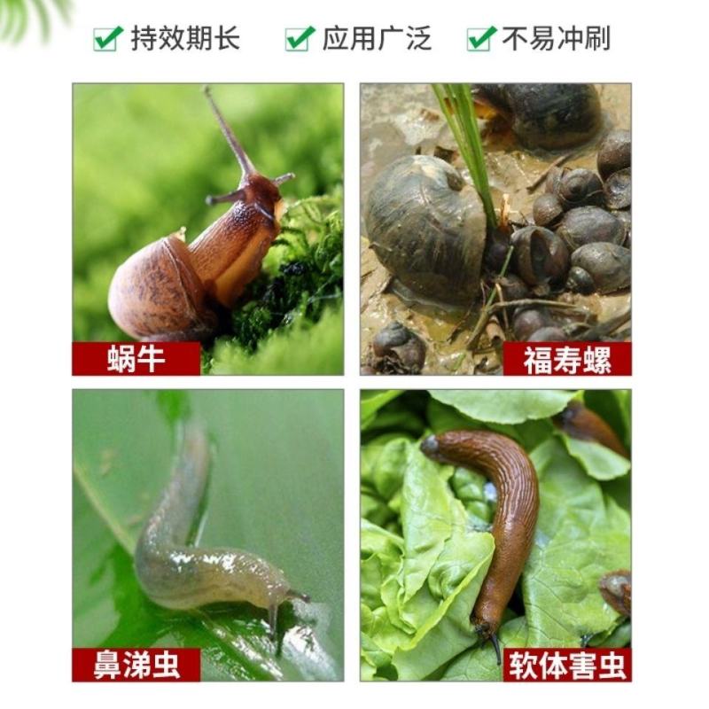 四聚乙醛蜗牛杀虫剂软体动物鼻涕虫田螺福寿螺庭院菜园