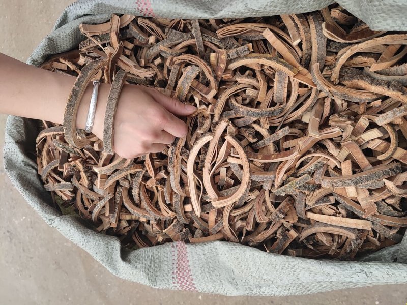 秦皮大货通货选货产地一手货源河南产地秦皮片子