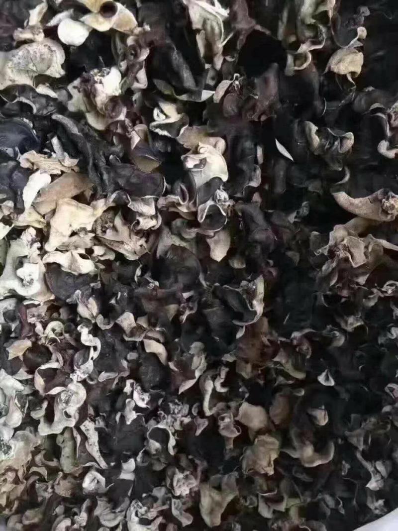 黑毛木耳无根散装木耳一件50斤产地发货对接大型批发
