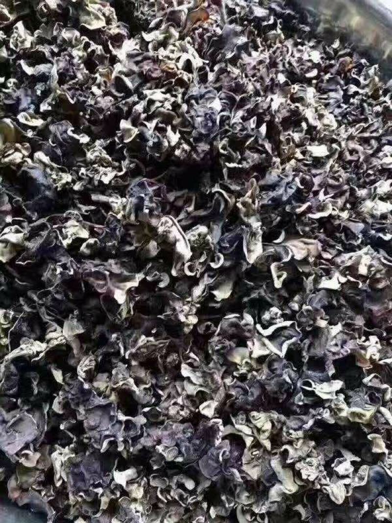 黑毛木耳无根散装木耳一件50斤产地发货对接大型批发