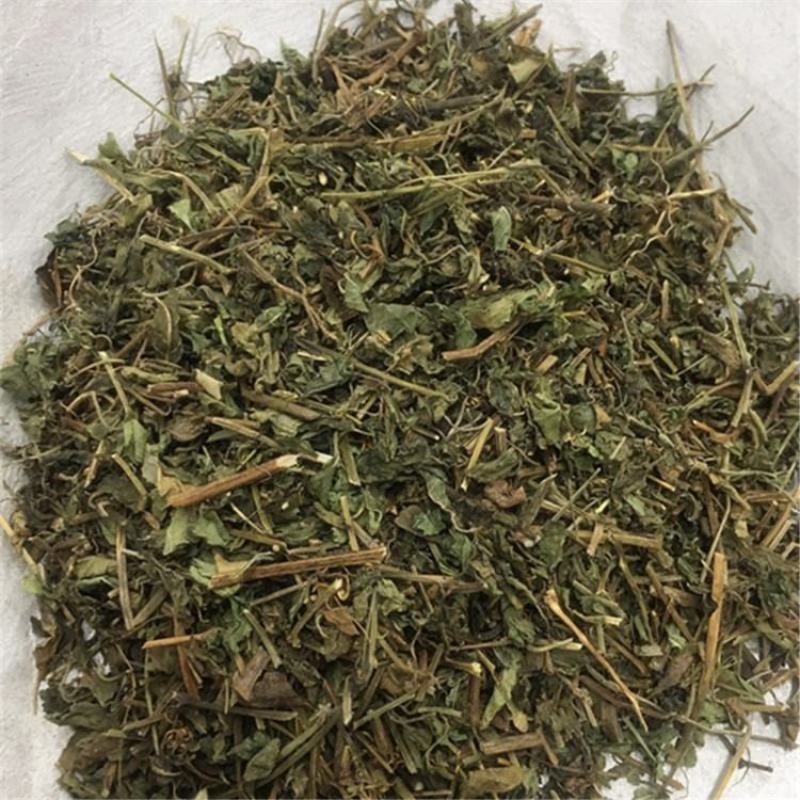 绞股蓝七叶胆绞股蓝草可打粉批发零售中药材