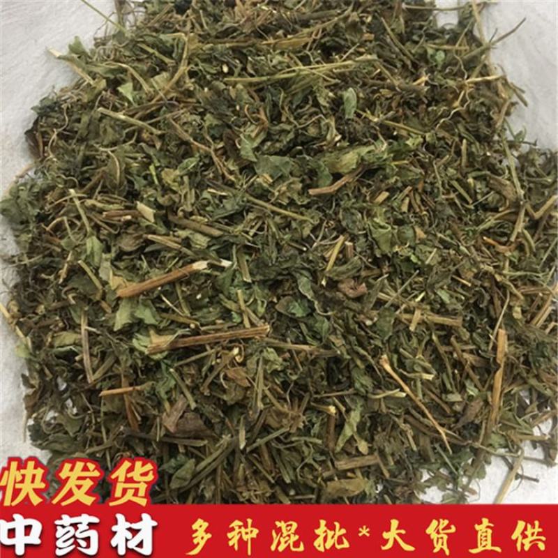 绞股蓝七叶胆绞股蓝草可打粉批发零售中药材