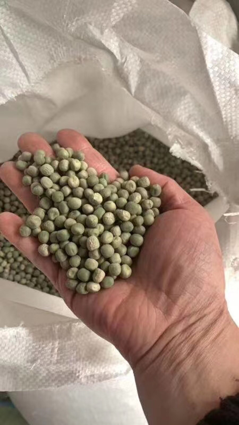 现货供应美国绿豌豆跑江湖地摊暴利产品天然优质干豌豆。