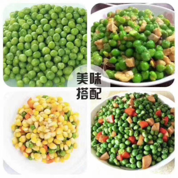 现货供应美国绿豌豆跑江湖地摊暴利产品天然优质干豌豆。