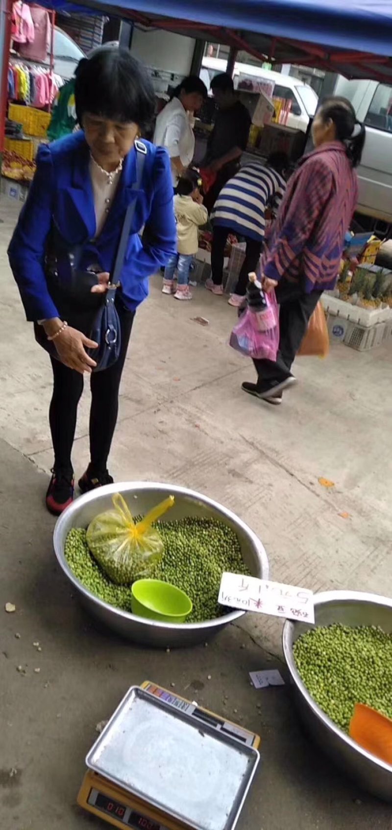 现货供应美国绿豌豆跑江湖地摊暴利产品天然优质干豌豆。