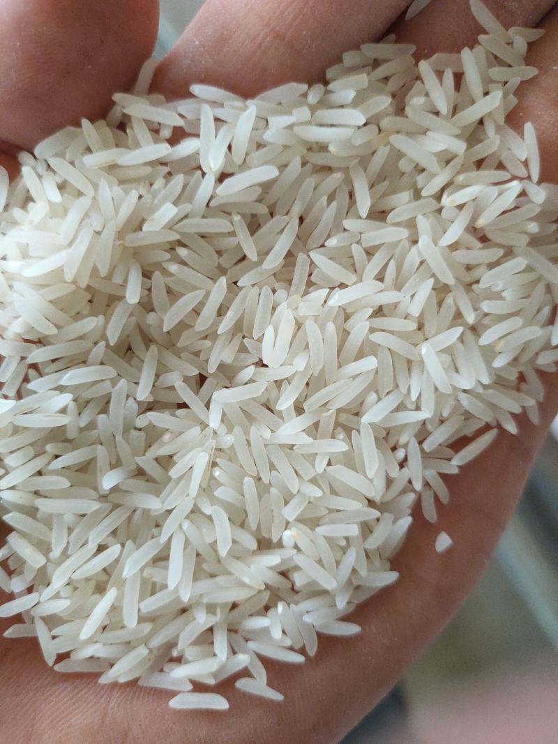 象牙米，砂锅饭煲仔饭专用米。每天都是新加工出来的特别新鲜
