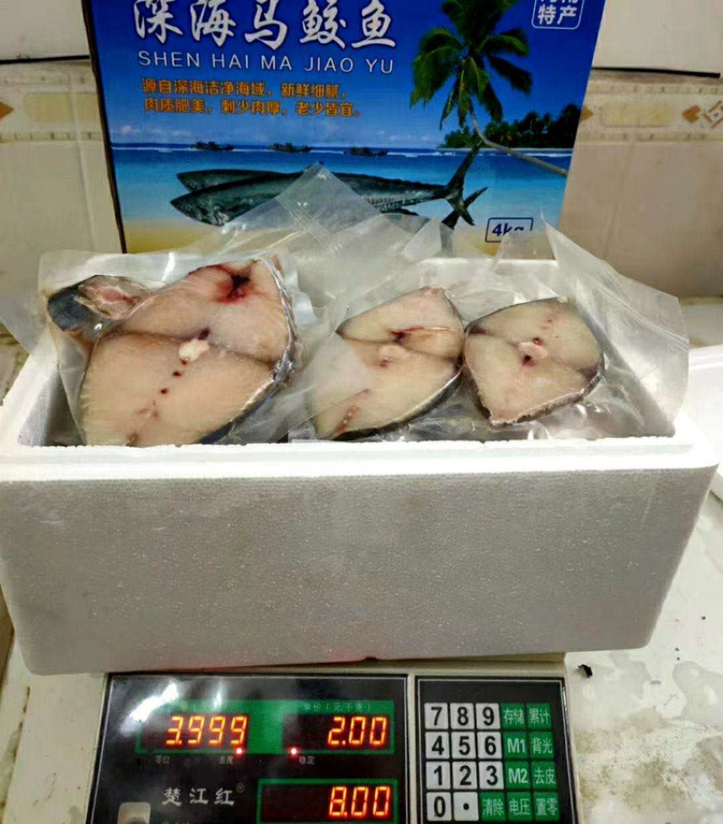 北部湾北海新鲜马鲛鱼片，一家人都爱吃，美味