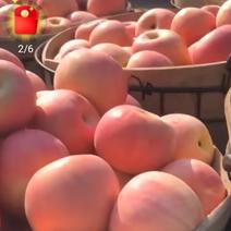 烟台栖霞市红将军苹果，脆甜可口，坏果包赔，产地直销