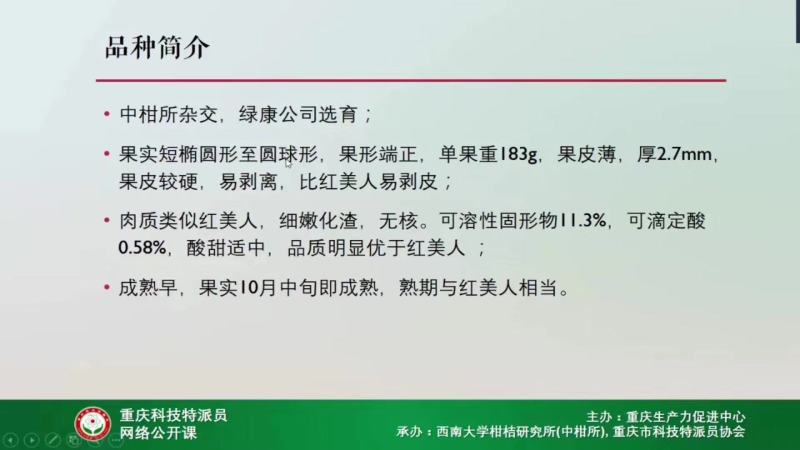 华美7号枝条柑橘新品种