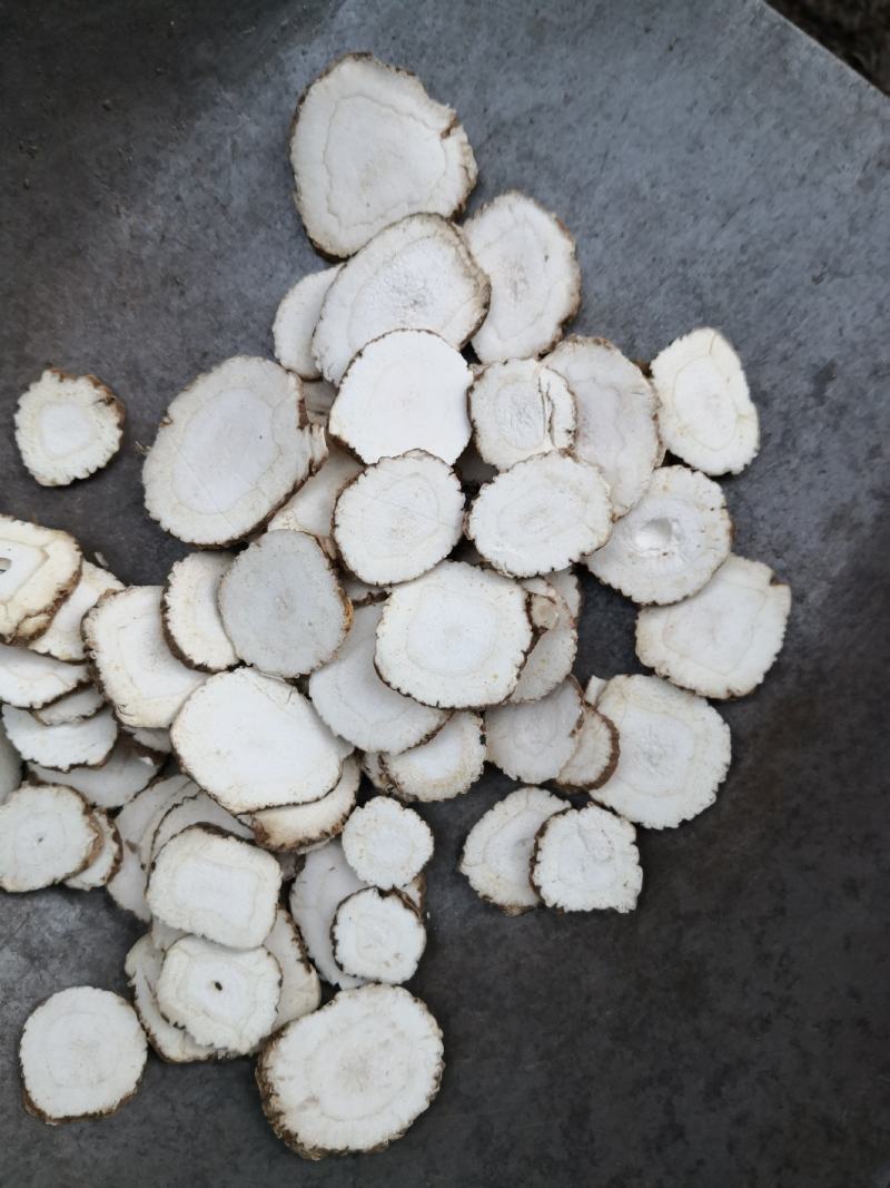 白芷，白芷片，无硫磺白芷片，专营亳州地产白芷，