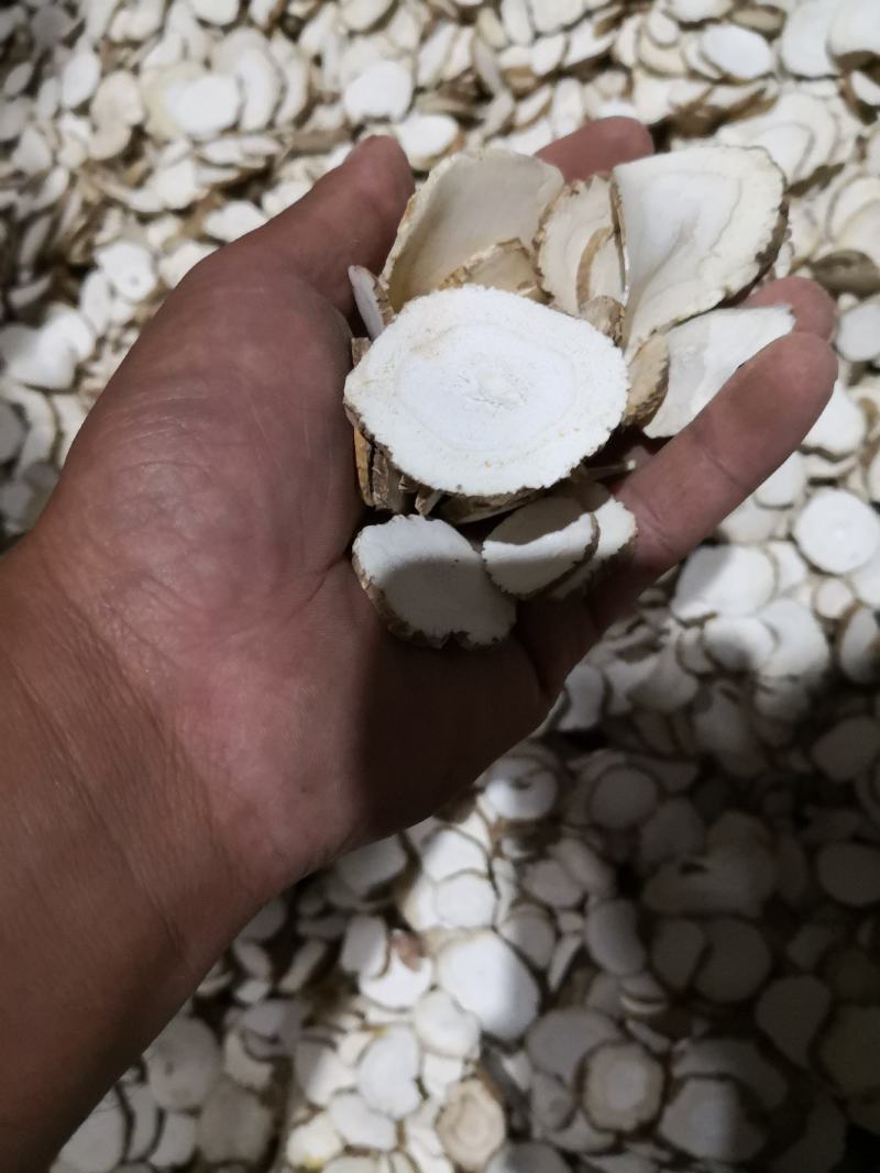 白芷，白芷片，无硫磺白芷片，专营亳州地产白芷，