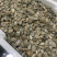 东港无沙减菌净化花蛤，专业贝类海水减菌净化设备净化