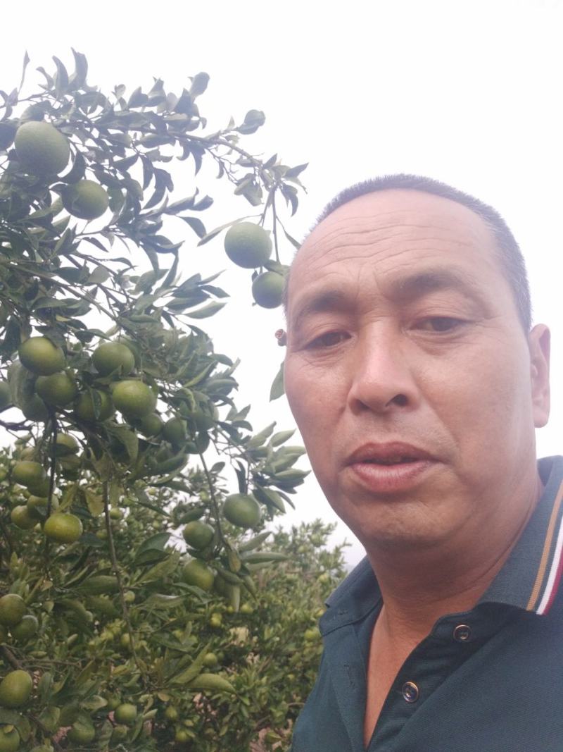 东江湖普早现在大量开始上市