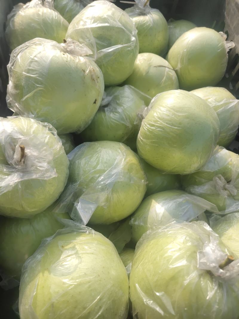 山东临沂费县膜袋黄元帅苹果大量上市