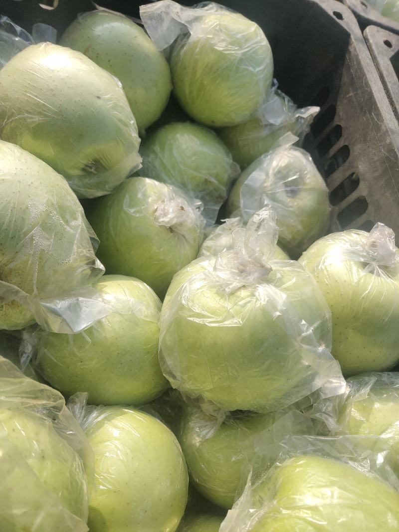 山东临沂费县膜袋黄元帅苹果大量上市