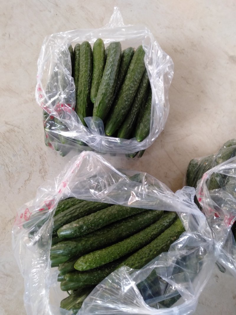 德瑞特黄瓜