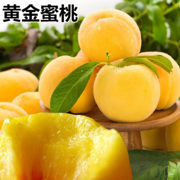 黄金蜜桃桃树苗嫁接桃树苗可南北方种植死苗补发