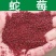 蛇莓种子