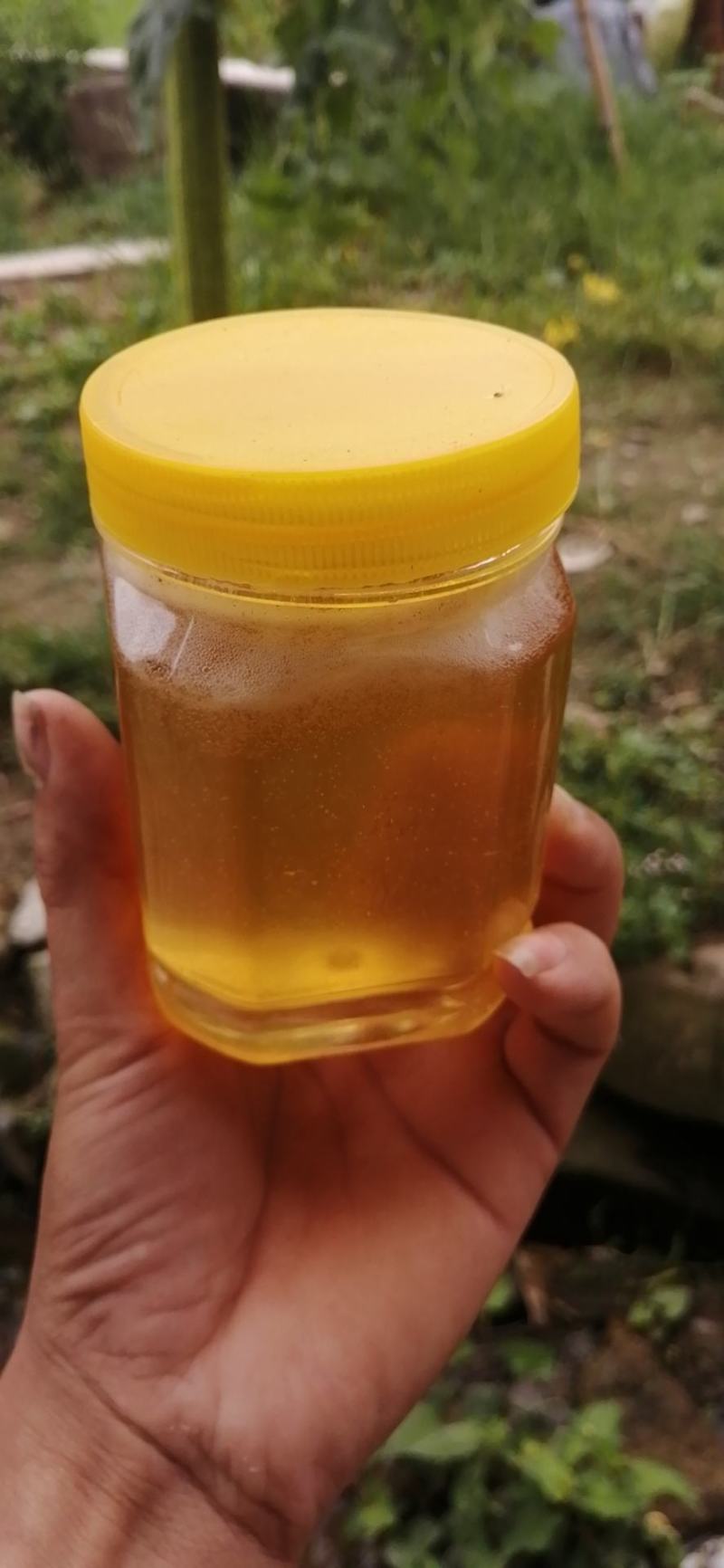 深山老刘中华土蜂乌桕蜜