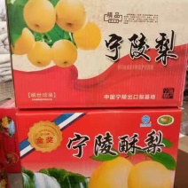 老白姓生态园酥梨种植基地，百年老树，质量保证，价格低廉。