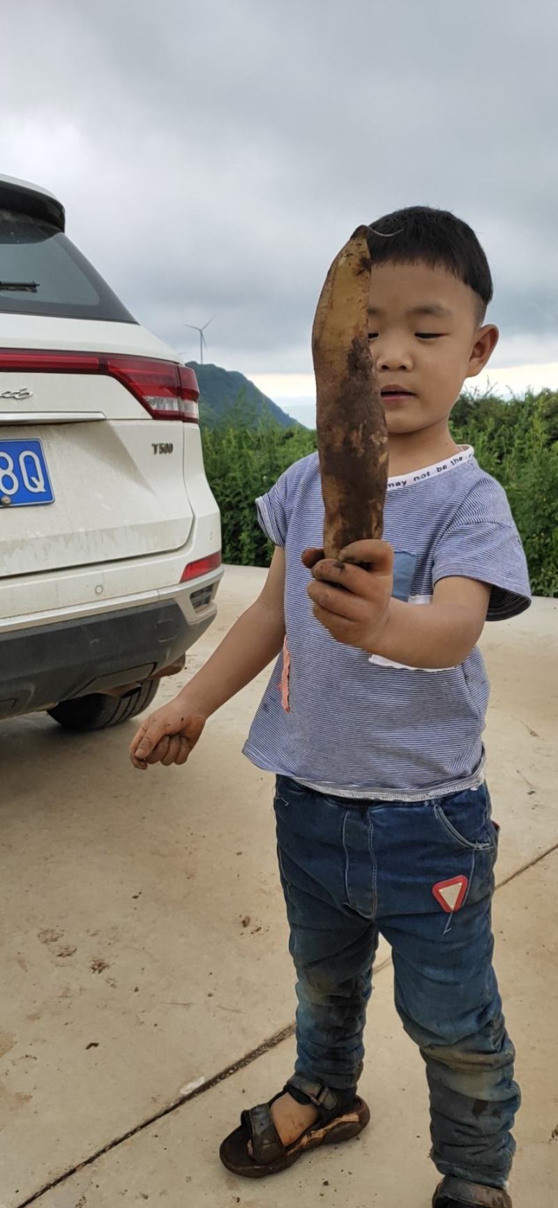 有要的老板联系，只有你想不到的没有我办不到的