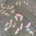 【鲜花生】精品白沙系列花生产地现挖可视频看货
