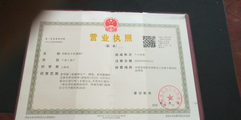 【精品】香菇菌种栽培种大量供应来自香菇之乡西峡欢迎电联