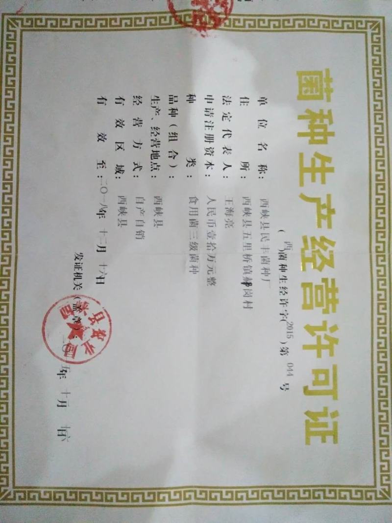 椴木袋料通用木耳菌种质优价廉量大从优欢迎下单