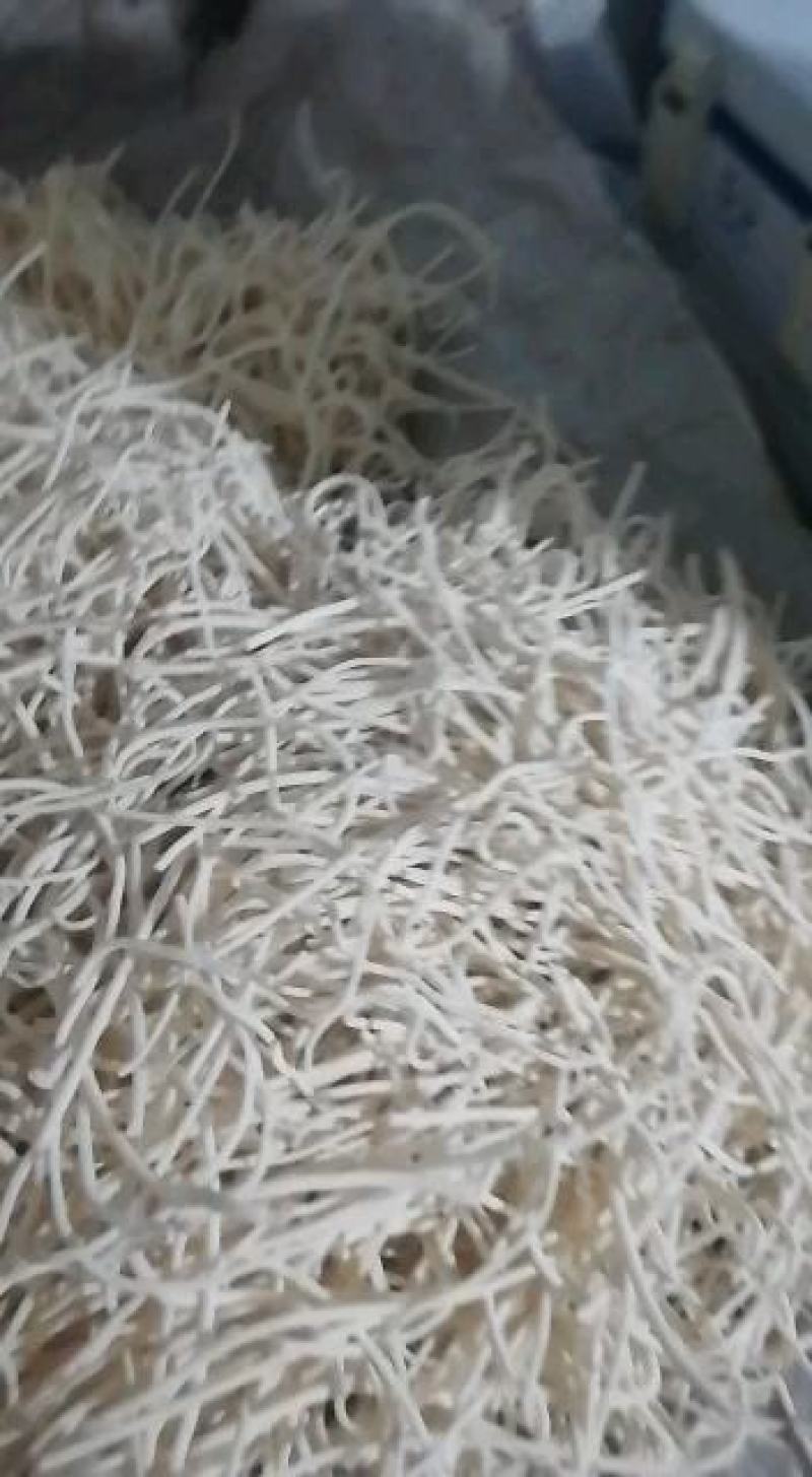 又是一个收获的季节通花根已经上市需要的老板赶紧出