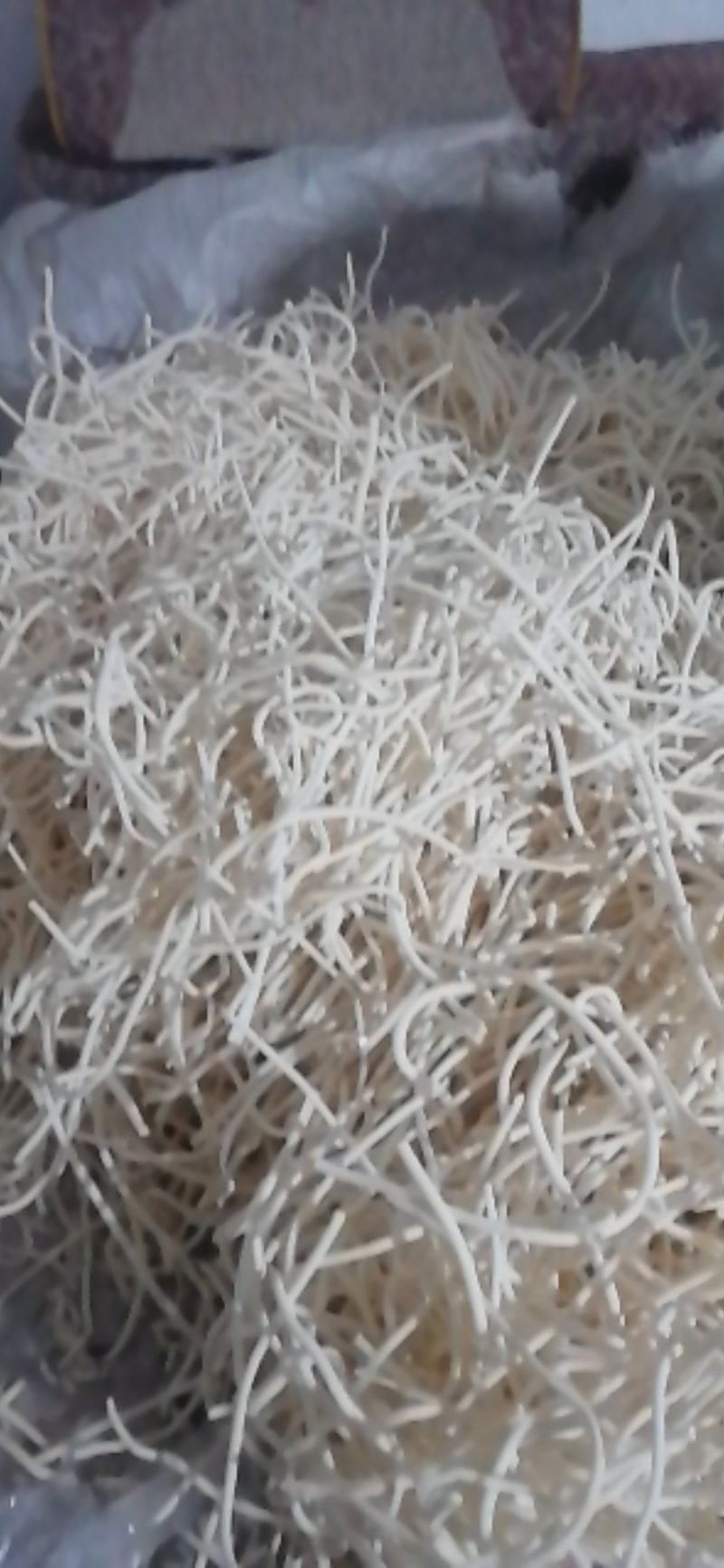 又是一个收获的季节通花根已经上市需要的老板赶紧出