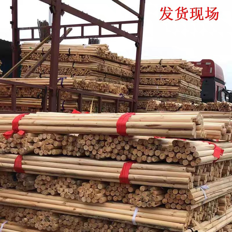 绿化树支撑杆，厂家直供，质量保障，直供全国各大苗木基地