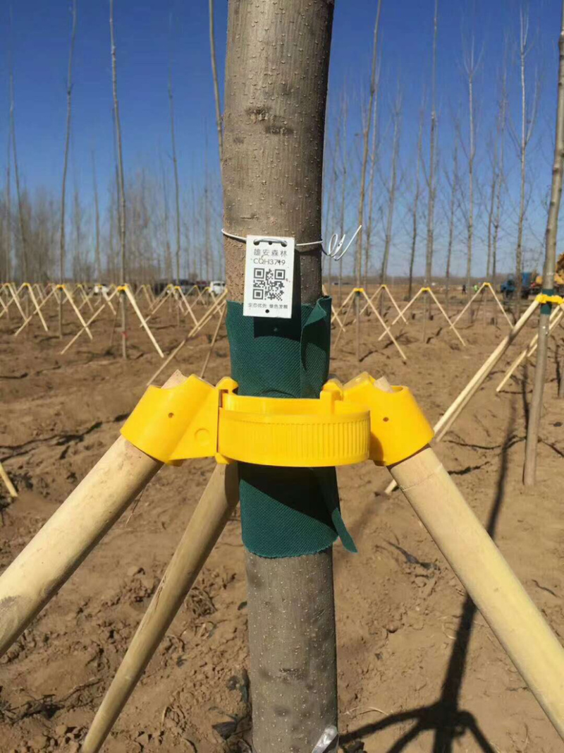 绿化支撑杆固定器，厂家直供，支持视频看货