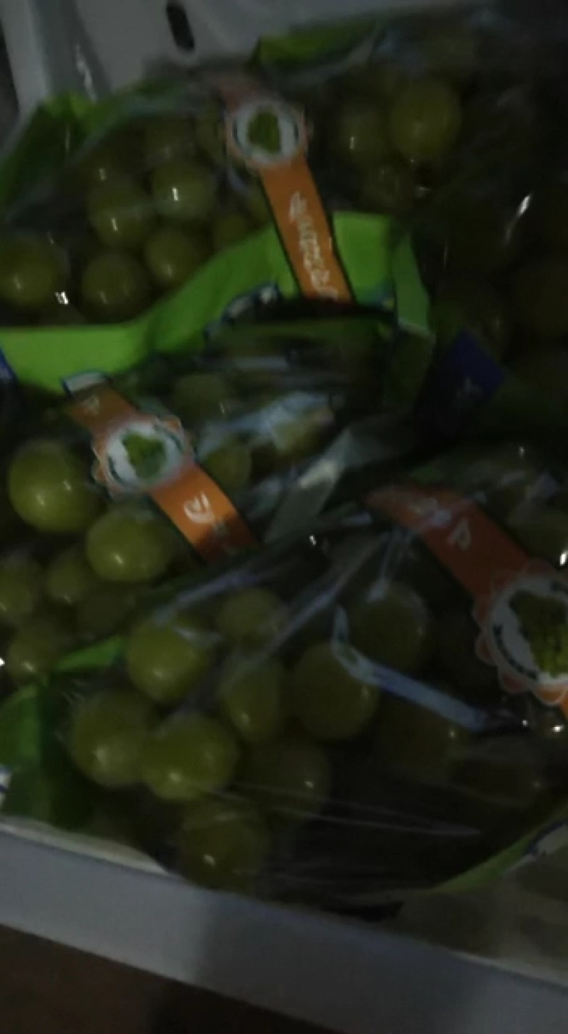 阳光玫瑰精品阳光玫瑰