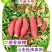 山东板栗薯黑吉辽陕甘宁新晋冀闵贵粤济26发货产地