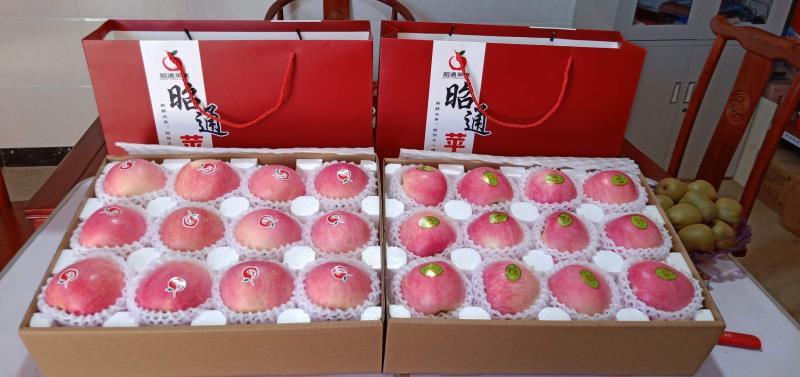 【年货节】云南昭通苹果10斤当季新鲜冰糖心野生丑孕妇水果