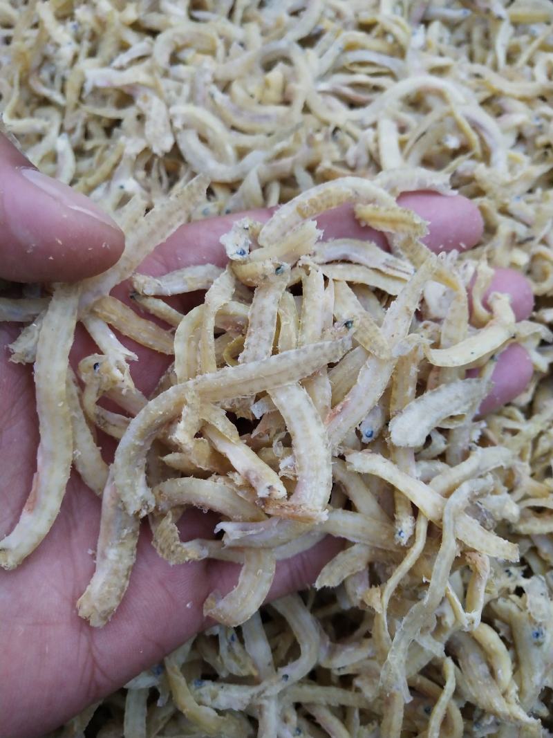 凤尾鱼（可用于加工休闲小食品，麻辣鱼等。量大）
