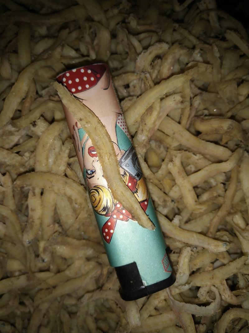 凤尾鱼（可用于加工休闲小食品，麻辣鱼等。量大）