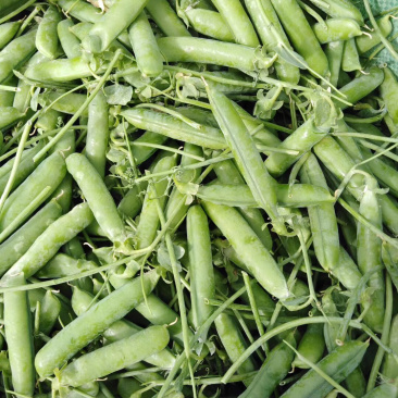 蔬菜甜脆豌豆包菜