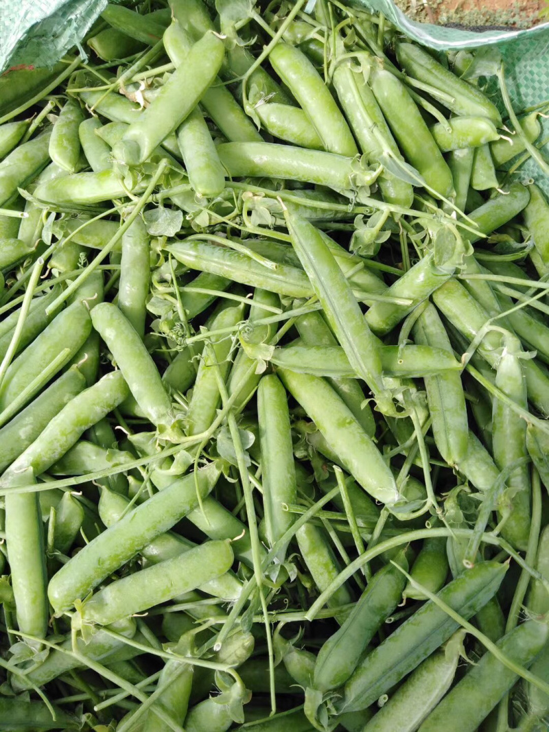蔬菜甜脆豌豆包菜