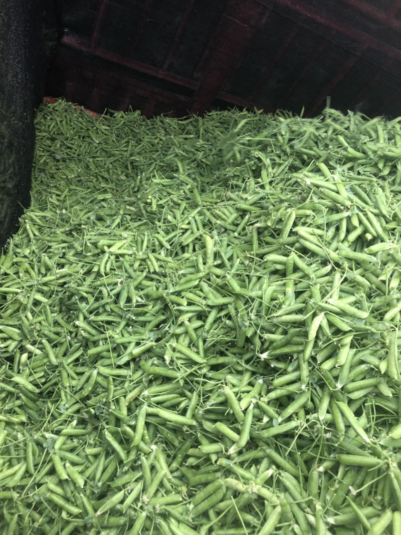 蔬菜甜脆豌豆包菜