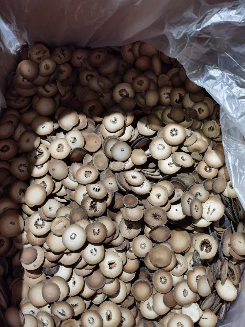 正宗化州橘红化州橘红片一手货源服务全国发货诚信橘红片包邮