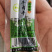 凤凰寺牦牛手撕肉干（全国包邮）