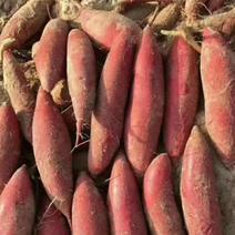 陕西汉中城固县红薯大量有货，货量大，质量好，颜色好，
