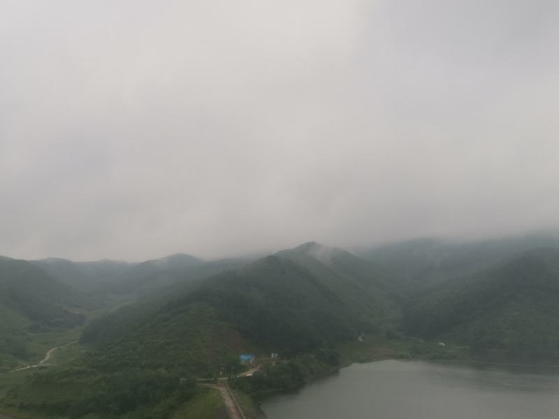 出售纯绿色柞蚕蛹