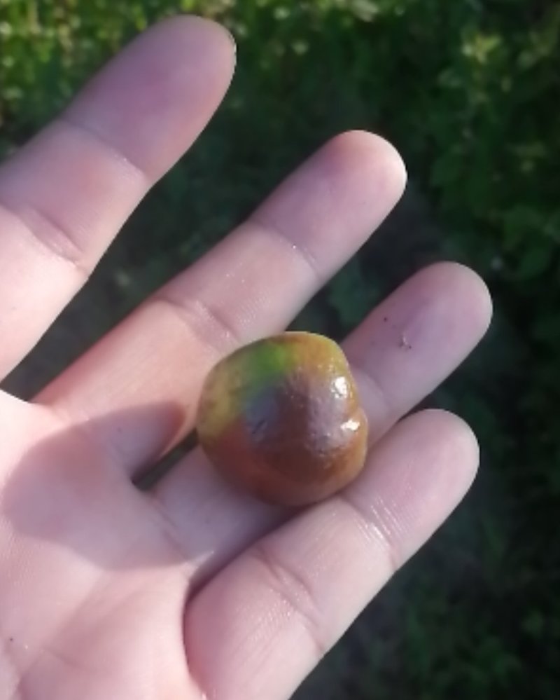 又是一个收获的季节有需要的赶紧出手